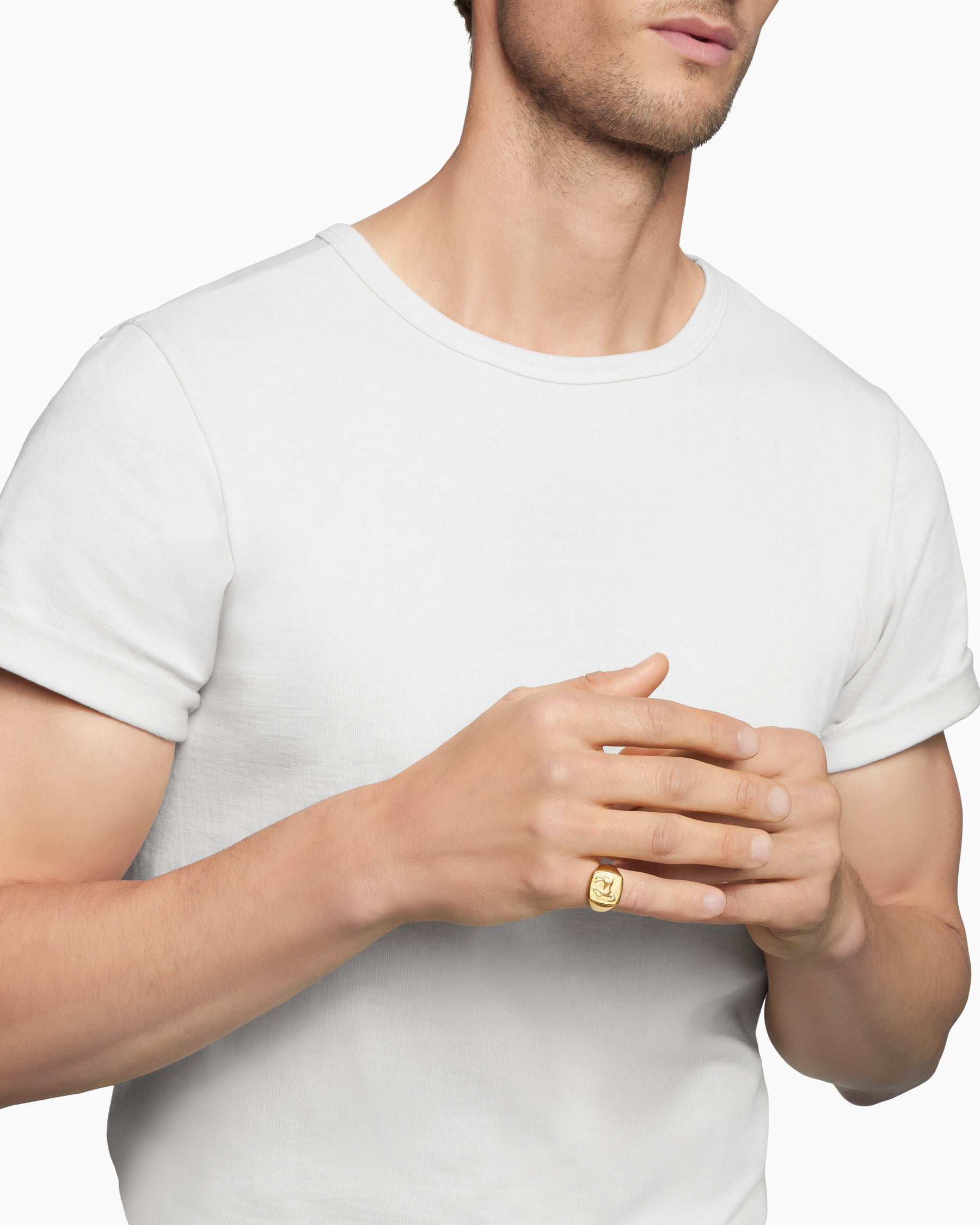 Petrvs Horse Pinky Ring in 18K Yellow Gold, 14.8mm - Image 7